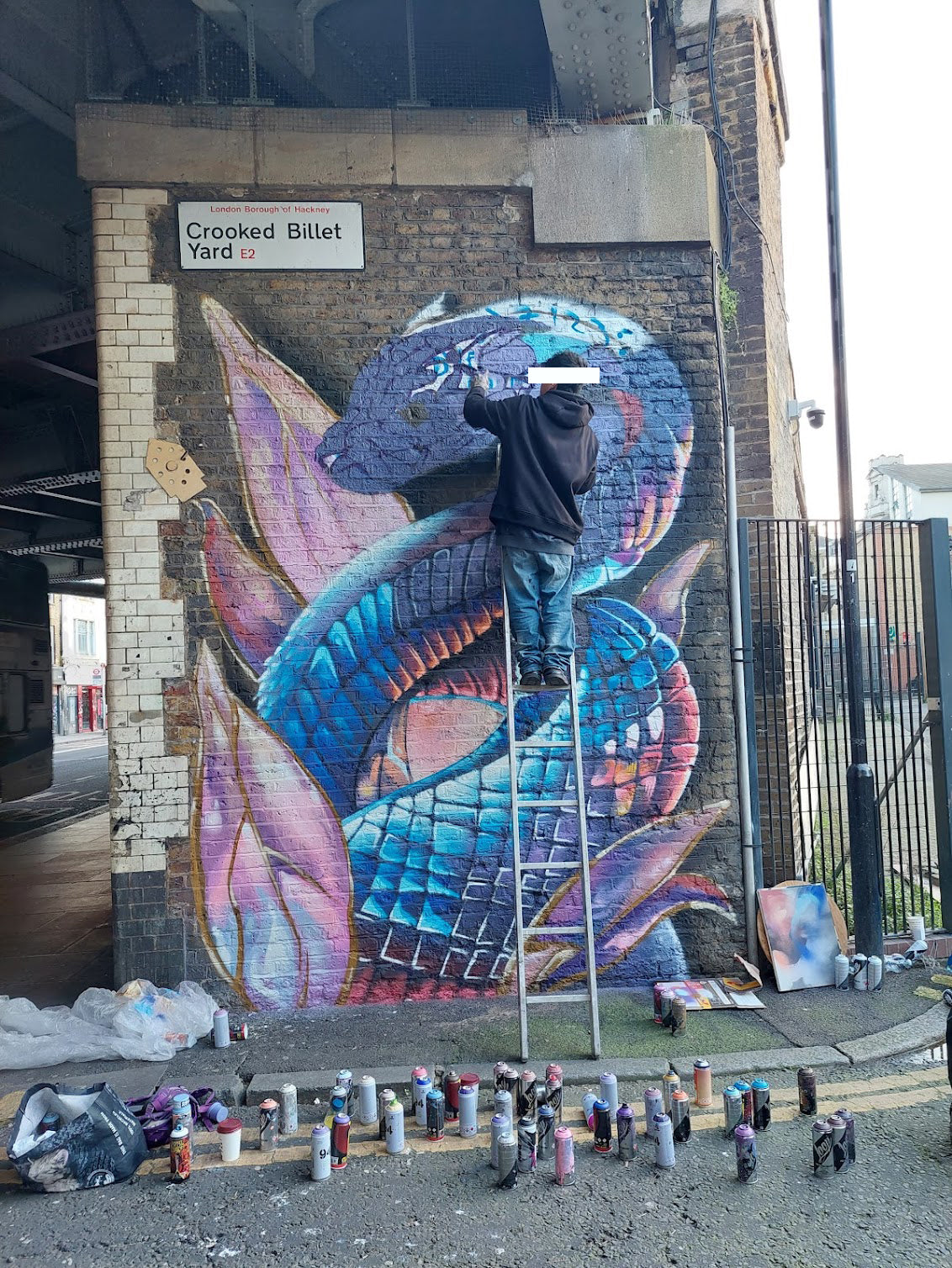 ZO1NKY